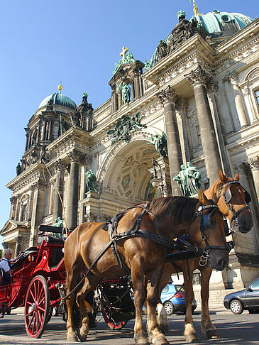 Fotos Pferdekutsche vor dem Berliner Dom | Berlin