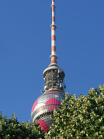 Fotos Fernsehturm und Bäume