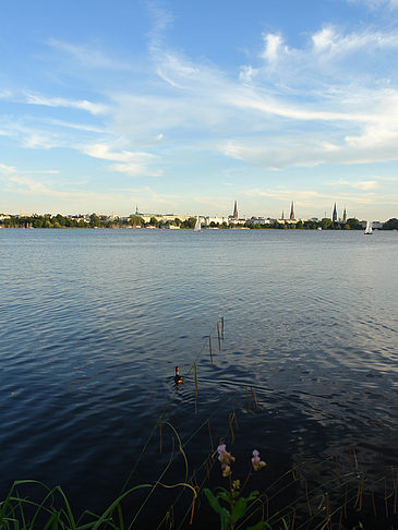 Fotos Außenalster Panorama | Hamburg