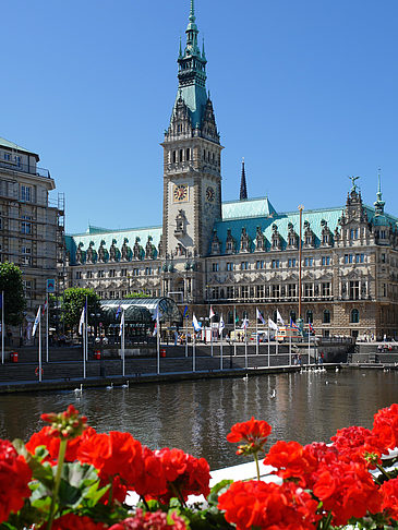 Fotos Rathaus mit Alsterfleet