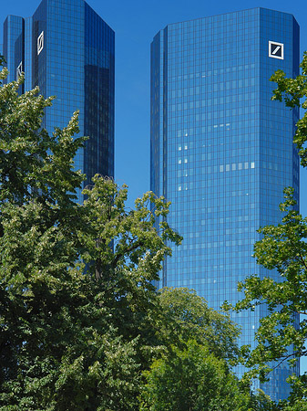 Fotos Deutsche Bank mit Bäumen | Frankfurt am Main