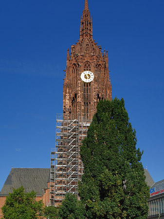 Foto Kaiserdom St. Bartholomäus mit Baum - Frankfurt am Main