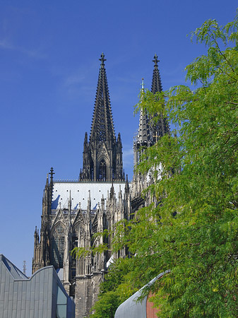 Türme des Kölner Doms