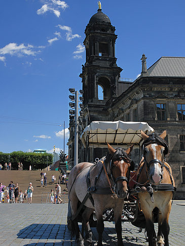 Foto Pferdekutsche - Dresden