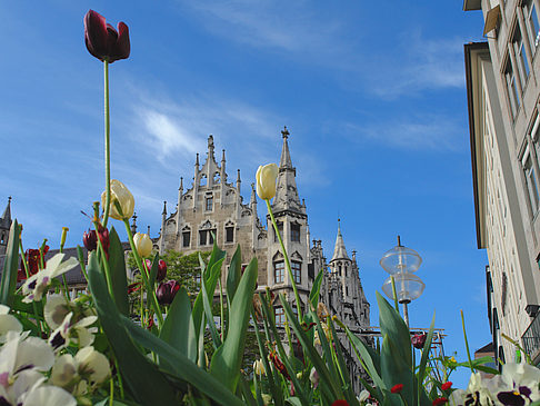 Neues Rathaus Foto 