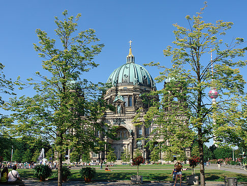 Foto Berliner Dom - Berlin