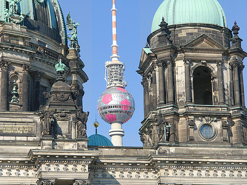 Fotos Berliner Dom mit Fernsehturm