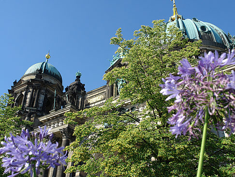 Fotos Berliner Dom mit Lustgarten | Berlin