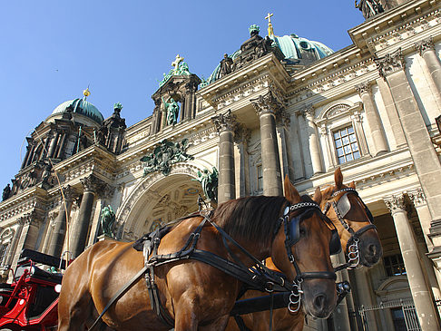 Pferdekutsche vor dem Berliner Dom