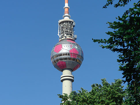 Foto Fernsehturm und Bäume