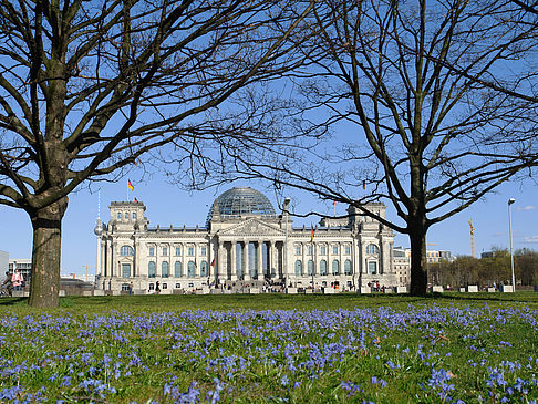 Foto Parkanlage am Reichstag