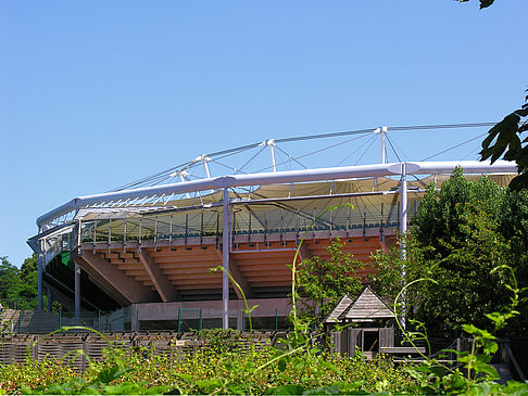 Am Rothenbaum