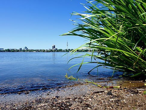 Badestrand an der Außenalster Fotos