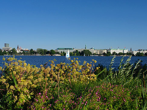 Blick nach Osten von der Außenalster Foto 