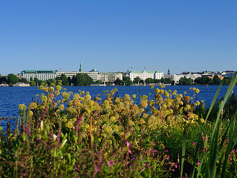 Blick nach Osten von der Außenalster Fotos