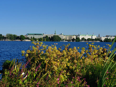 Blick nach Osten von der Außenalster Fotos