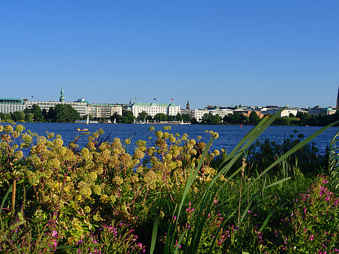 Foto Blick nach Osten von der Außenalster