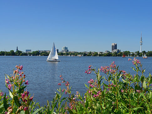 Foto Segeln auf der Außenalster