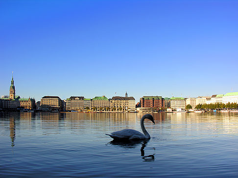 Binnenalster Foto 