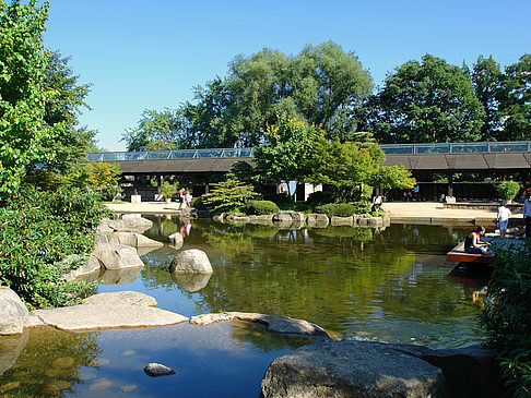 Fotos Planten un Blomen - Japanischer Garten