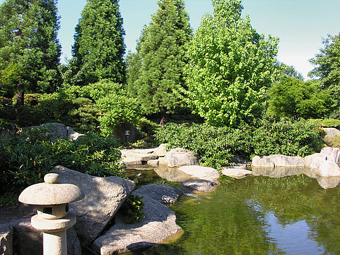 Planten un Blomen - Japanischer Garten Fotos