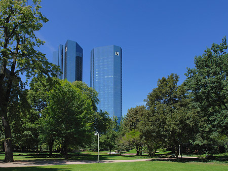 Deutsche Bank mit Wald Foto 