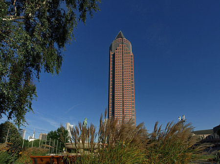 Fotos Messeturm auf Wiese | Frankfurt am Main