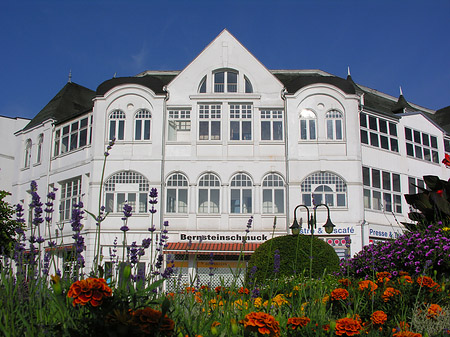 Foto Seebrücke Binz - Ostseebad Binz