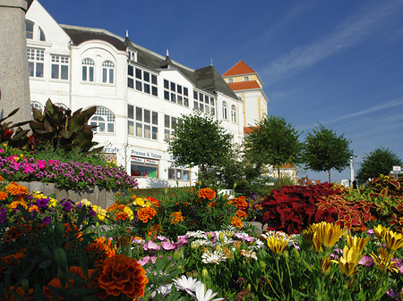 Foto Seebrücke Binz - Ostseebad Binz