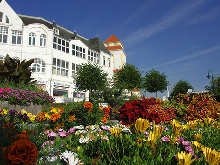 Seebrücke Binz Fotos