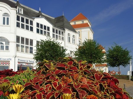 Fotos Seebrücke Binz | Ostseebad Binz