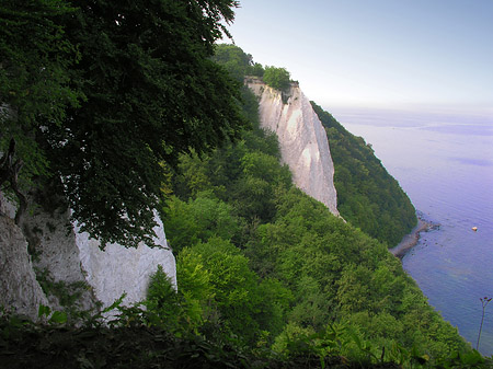 Königsstuhl Kreidefelsen Foto 