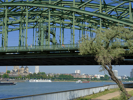 Fotos Hohenzollernbrücke mit Baum | Köln