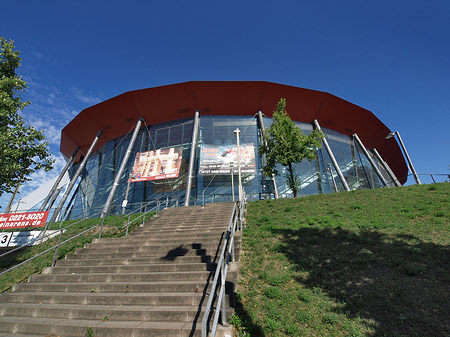 Foto Kölnarena auf der Treppe - Köln