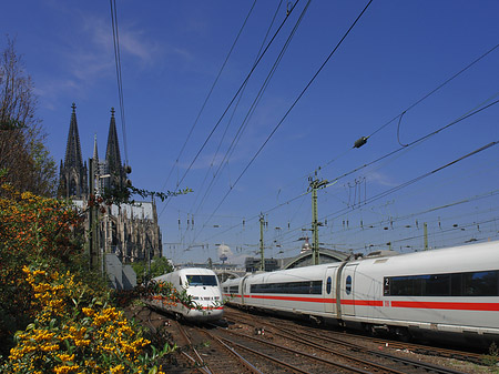 Fotos Kölner Dom mit ICE