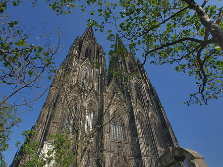 Foto Westfassade des Kölner Doms - Köln