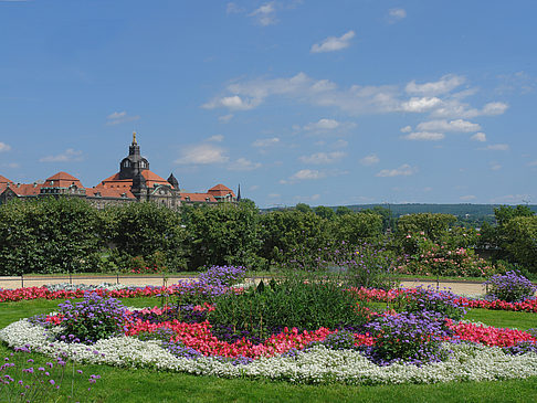 Foto Brühlscher Garten