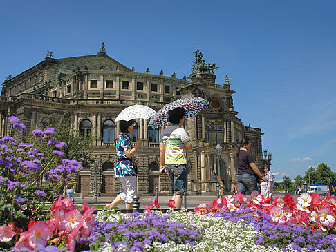 Foto Semperoper mit Blumen - Dresden