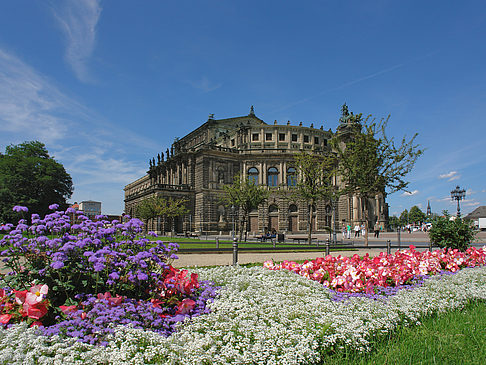 Foto Semperoper mit Blumen