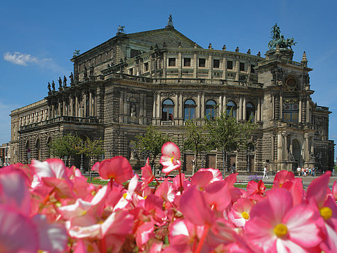 Foto Semperoper mit Blumen - Dresden