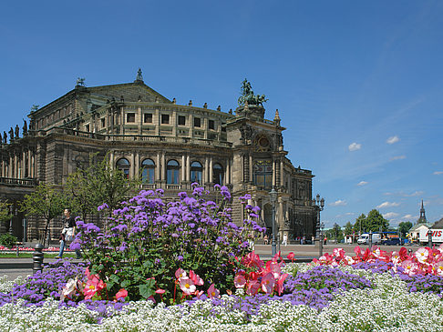 Semperoper mit Blumen Fotos