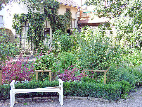 Foto Garten vom Herderhaus