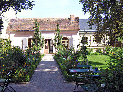 Foto Garten vom Kirms Krackow Haus - Weimar