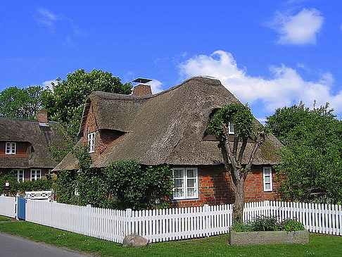 Foto Föhr