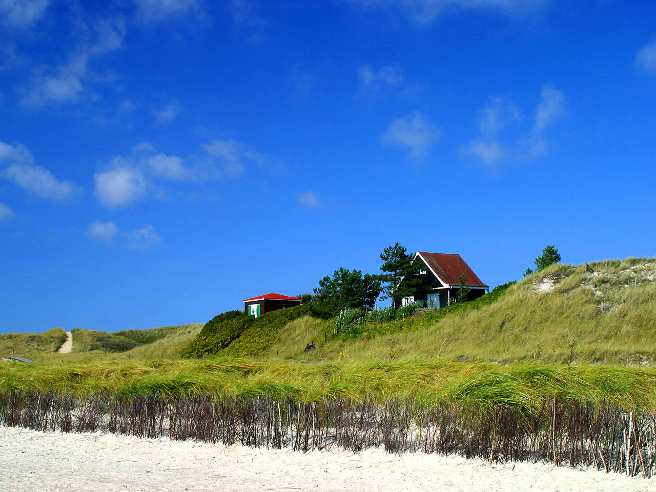 Foto Föhr - Oevenum