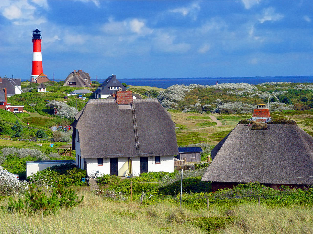 Hörnum (Süden) Foto 