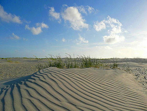 Amrum - Schleswig-Holstein ()