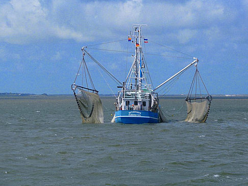 Amrum - Schleswig-Holstein ()