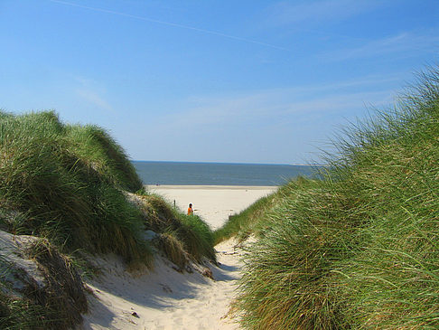 Amrum - Schleswig-Holstein ()